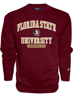 Cozy NCAA Men's Crewneck Sweatshirt | Twill Applique | Team Color Blue